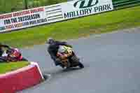 enduro-digital-images;event-digital-images;eventdigitalimages;mallory-park;mallory-park-photographs;mallory-park-trackday;mallory-park-trackday-photographs;no-limits-trackdays;peter-wileman-photography;racing-digital-images;trackday-digital-images;trackday-photos